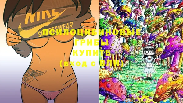 тгк Покачи