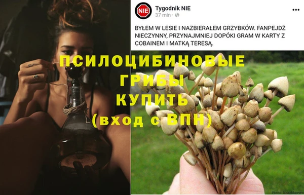 экстази Абдулино